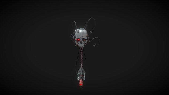 Servocraneo 3D Model