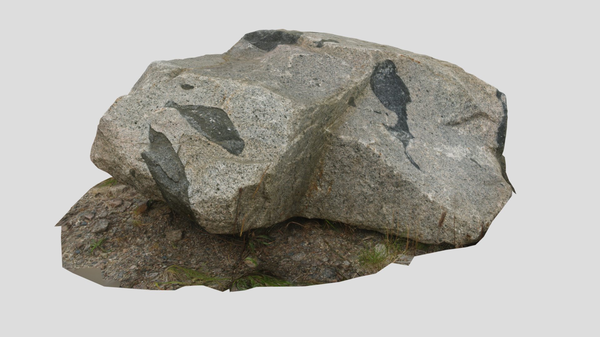 Ardara granite with enclaves