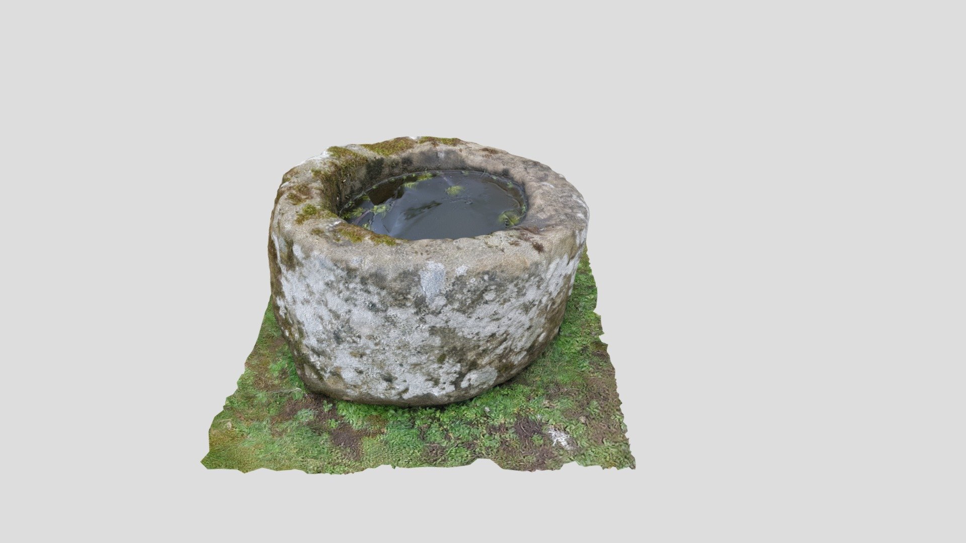 mossy stone pot