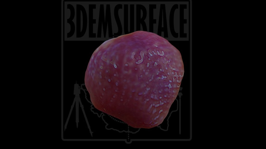 Strawberry 3