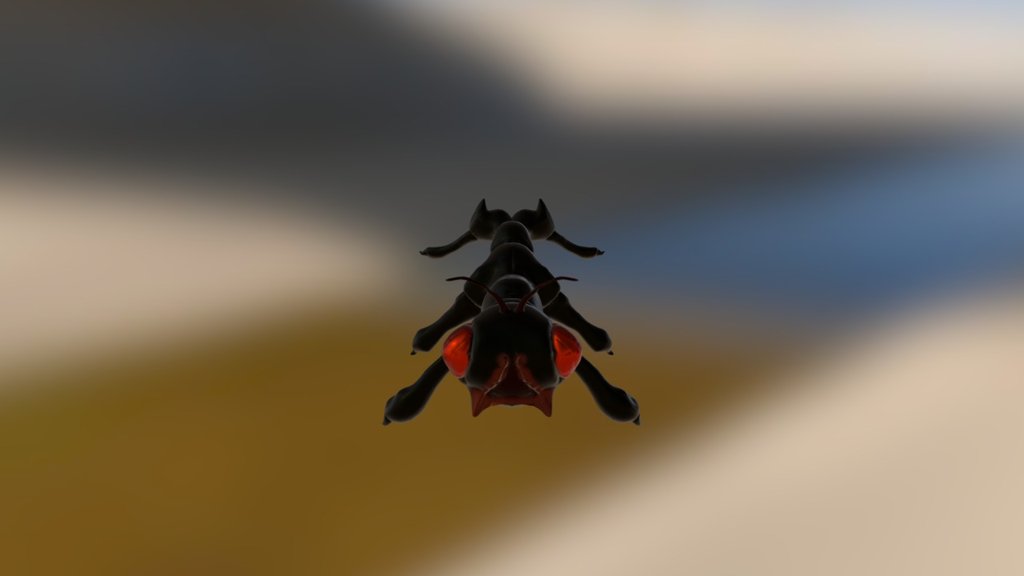 Figure Study: Ant — Sketchfab embed 3D viewer