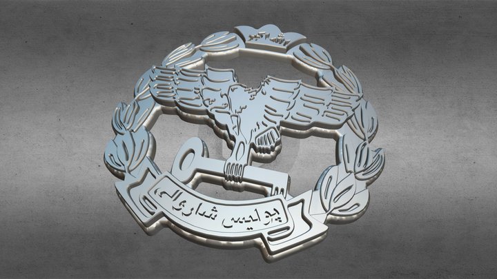 پولیس شاروالی 3D Model