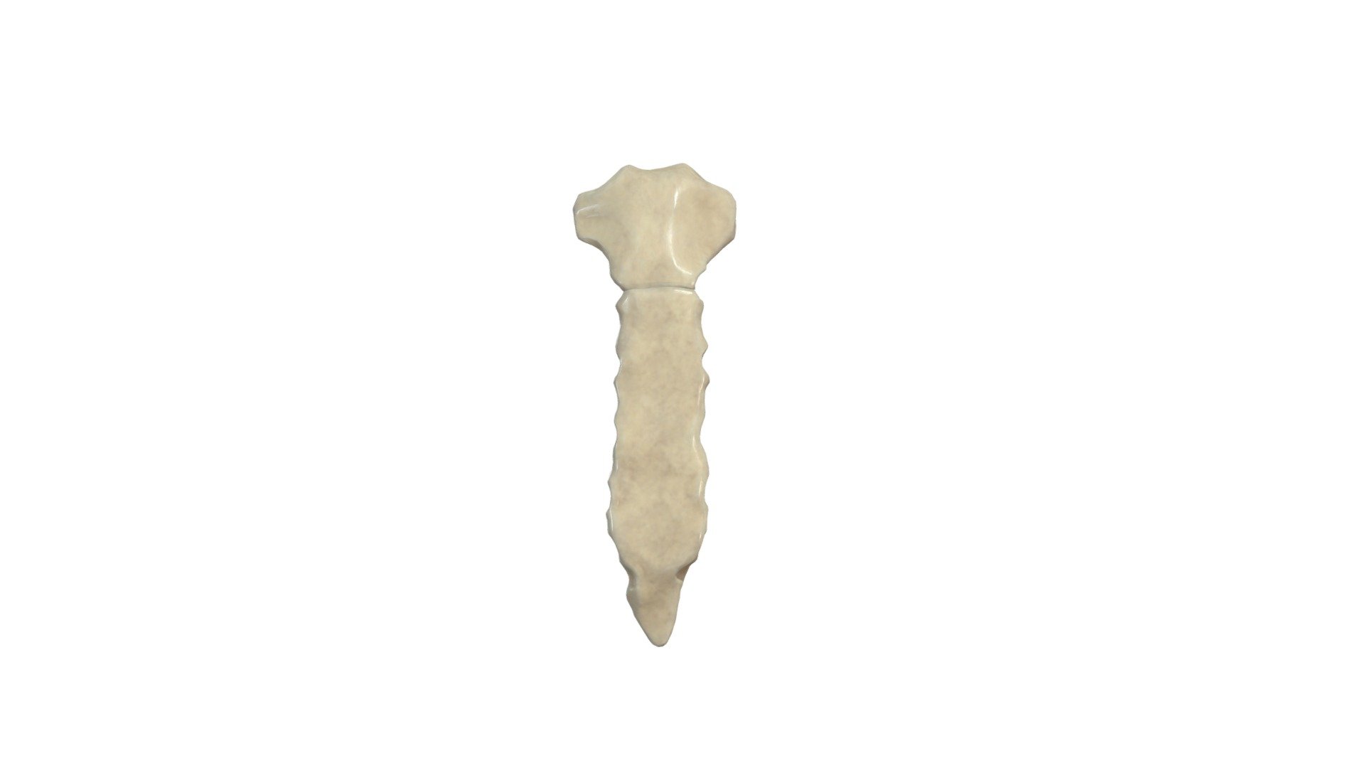 Sternum