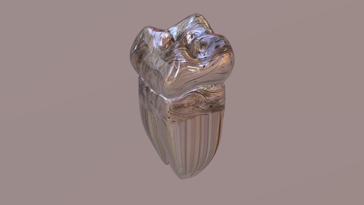 Molar 3D Model