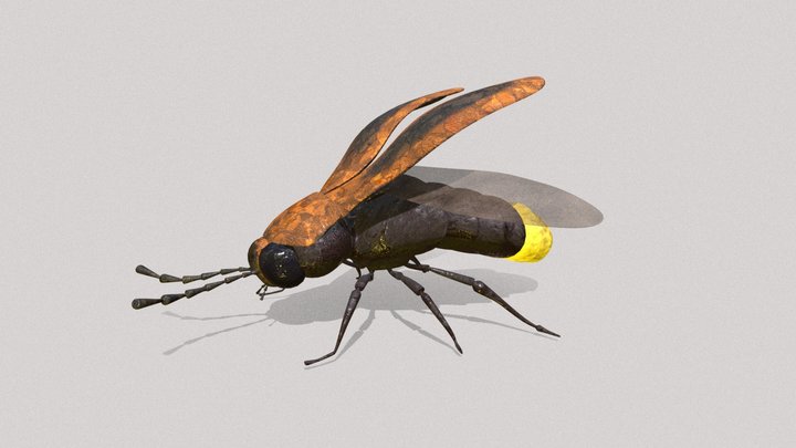 Firefly 3D Model