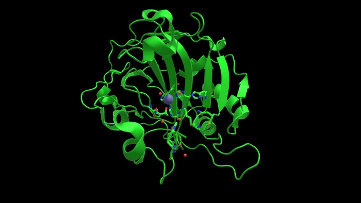 carbonic_anhydrase