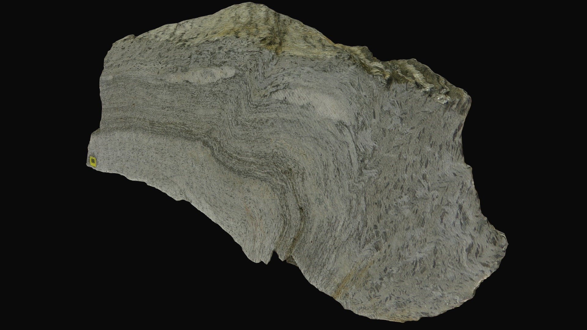 Folded gneiss, Austria