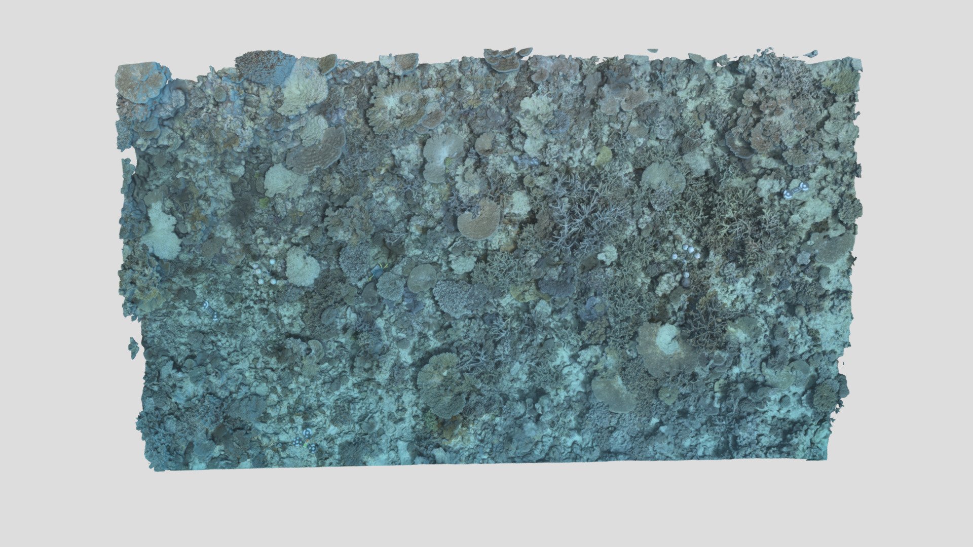 Heron_BA2S_P3_202305 - Download Free 3D model by EcoRRAP (@AIMSEcoRRAP ...