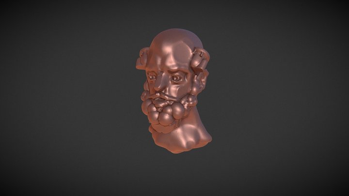 Copper Head 3D Model