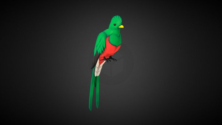 Quizzical Quetzal 3D Model