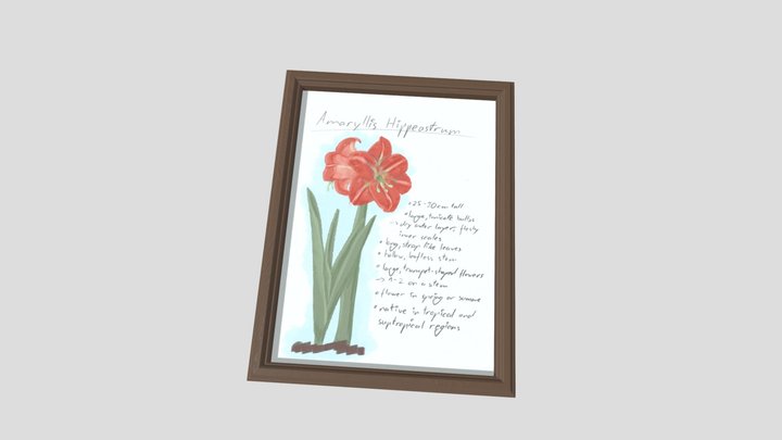 Pictureframe 3D Model