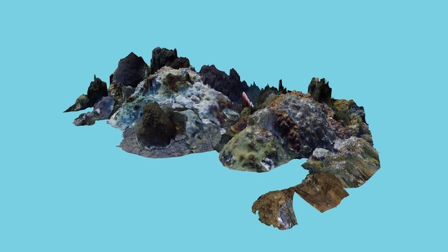 Diseased Area 3D Model