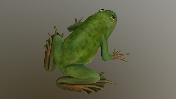 Frog 3D Model