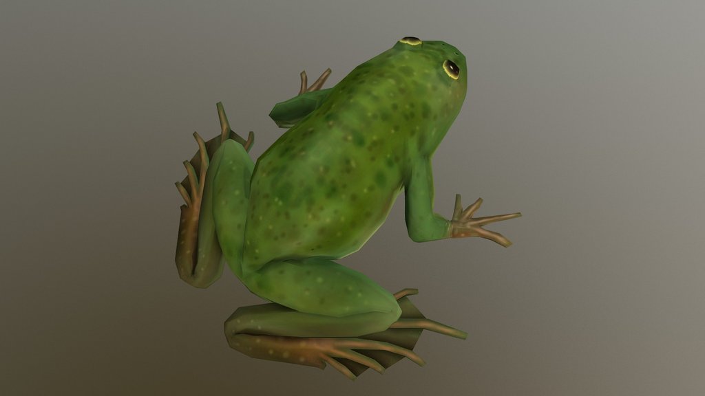 Frog