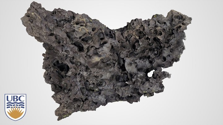 Volcanic Rock #2 3D Model