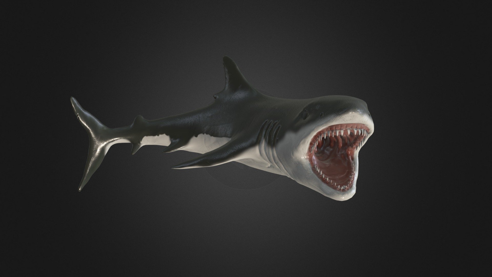 3D model Great White Shark - Game Ready VR / AR / low-poly rigged animated