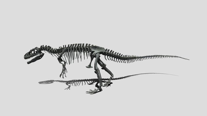 アロサウルス 3D Model