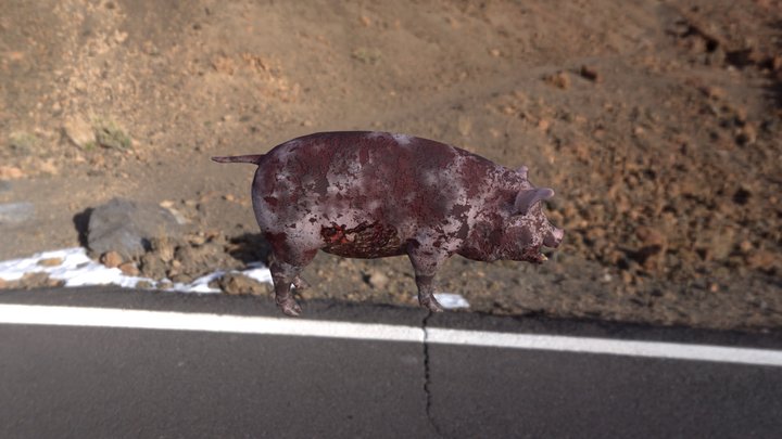 Pig dead 3D Model