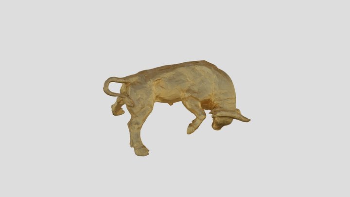Toro 3D Model