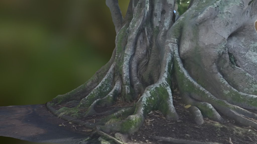 Tree Roots Simplified 3d Mesh
