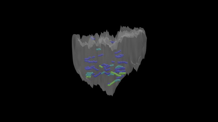 Parent Polyp #3 Caryophyllia huinayensis – Kostenloses 3D-Modell STL