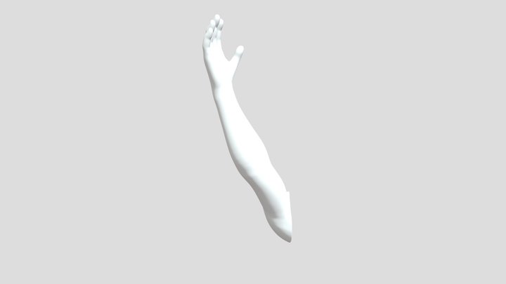 Brazo 3D Model