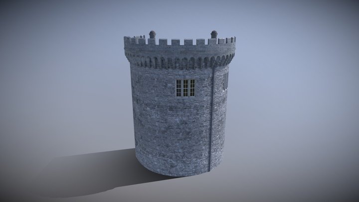 Dublin Castle Record Tower Cross Section Test 3D Model