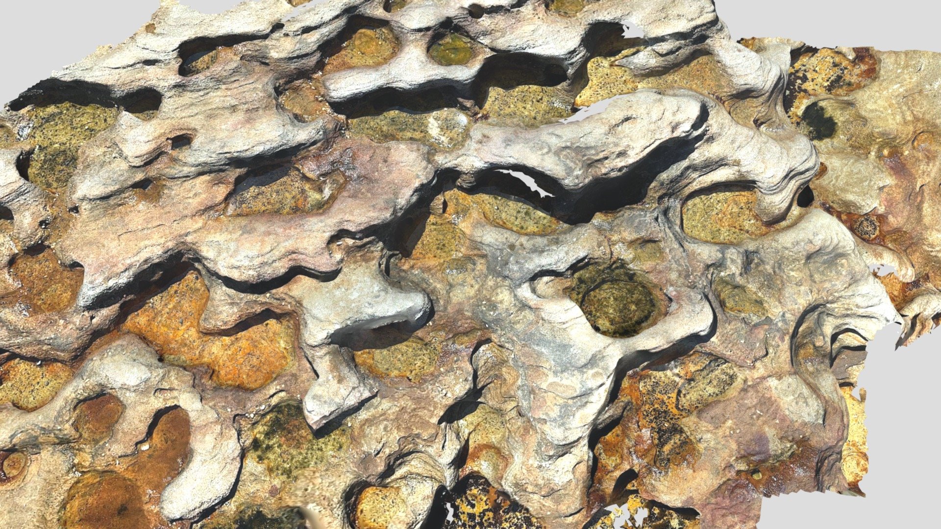 Rocks With Holes
