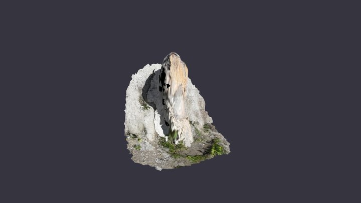 3D model of petrified trunk #78 (UAV) 3D Model