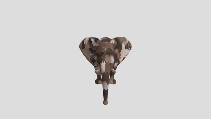 Elephant PerspectiveThe 3D Model