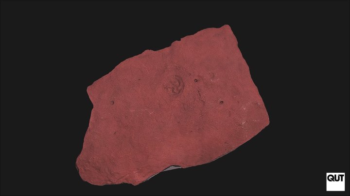 ERB102 Ediacaran Fauna Tribrachidium heraldicum 3D Model