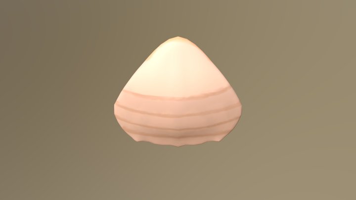 Seashell Second Texture 3D Model