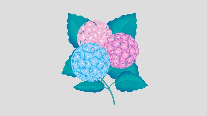 Hydrangea Flower 3D Model