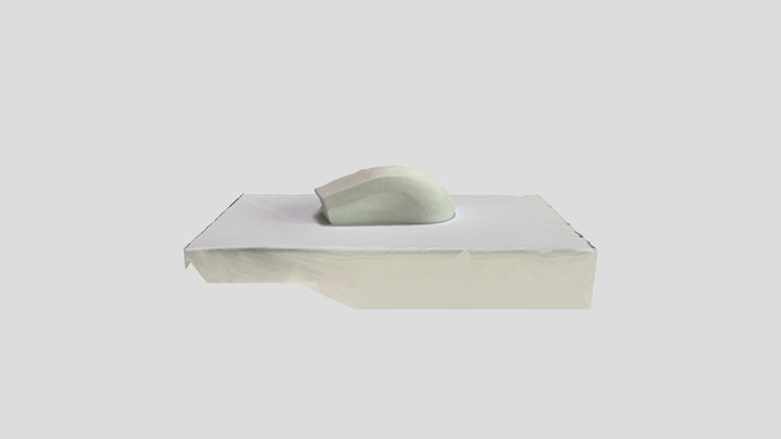 Scan 2023-04-18T05:40:32.485Z 3D Model