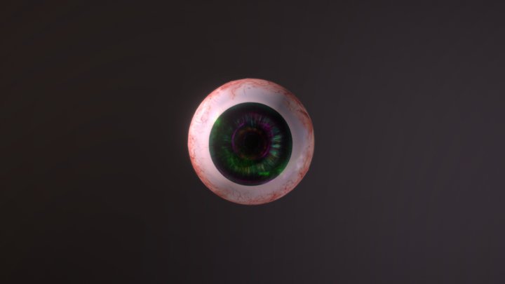 Human Eye 3D Model