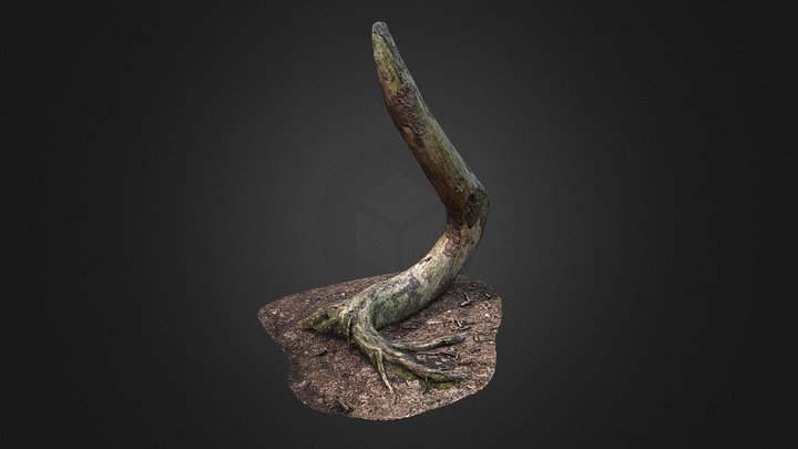 Tree base with chainsaw cut 3D Model
