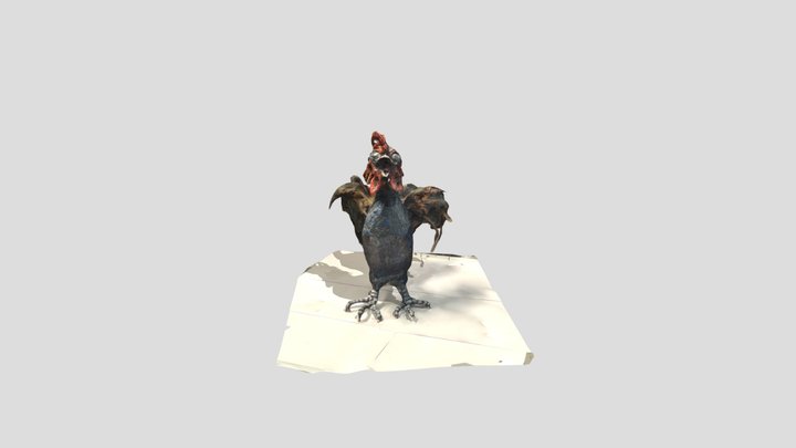 modelo 3D de gallo 3D Model