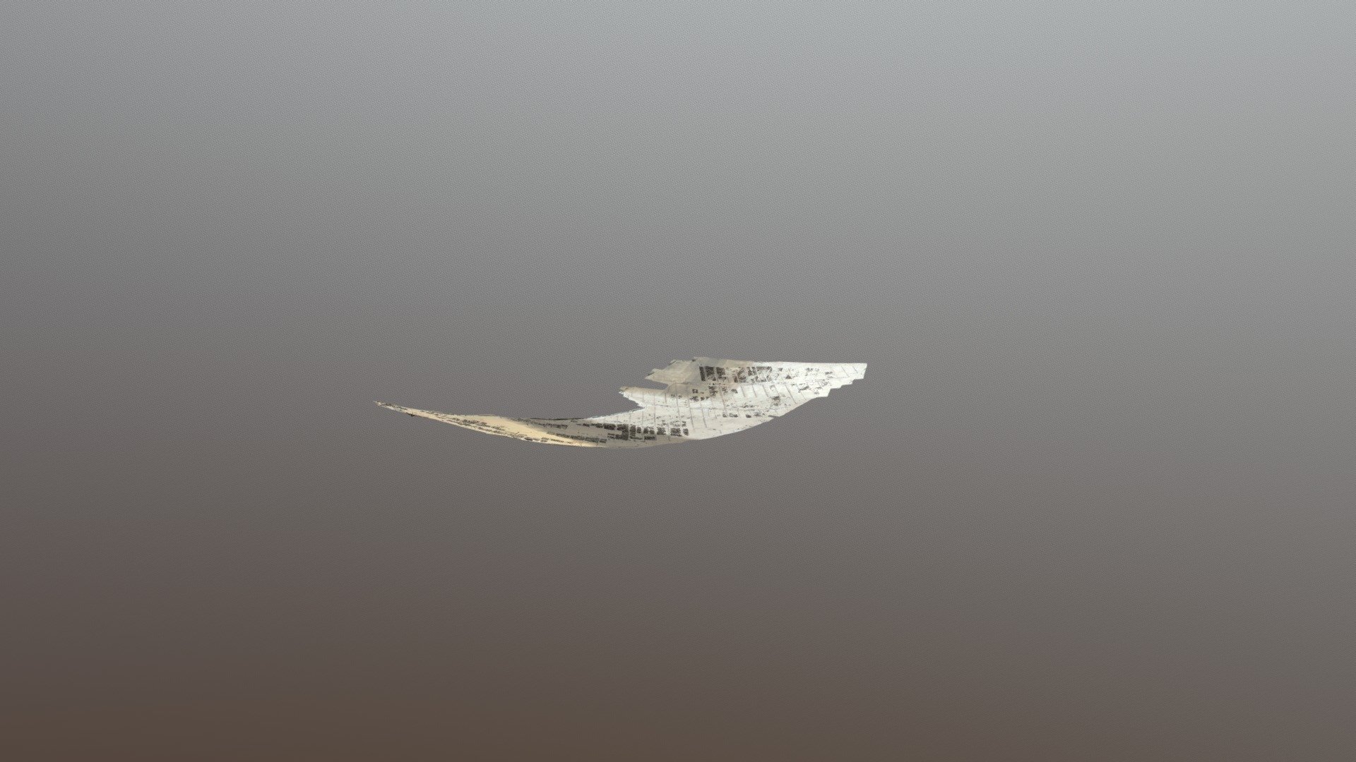 Fly 08 123456 Simplified 3d Mesh
