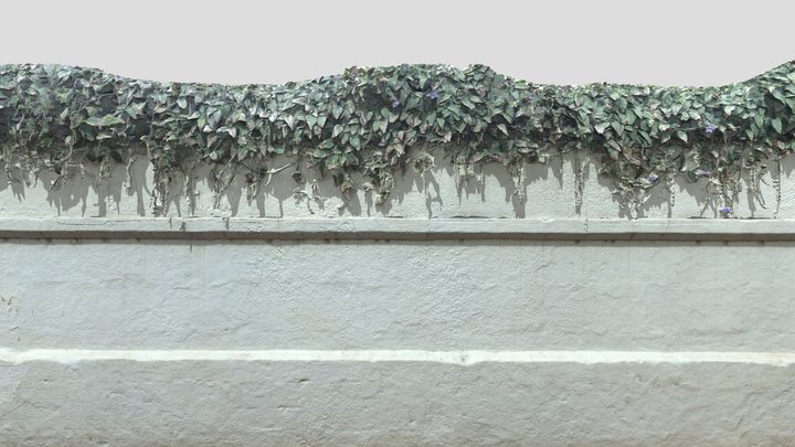 murocolgantes