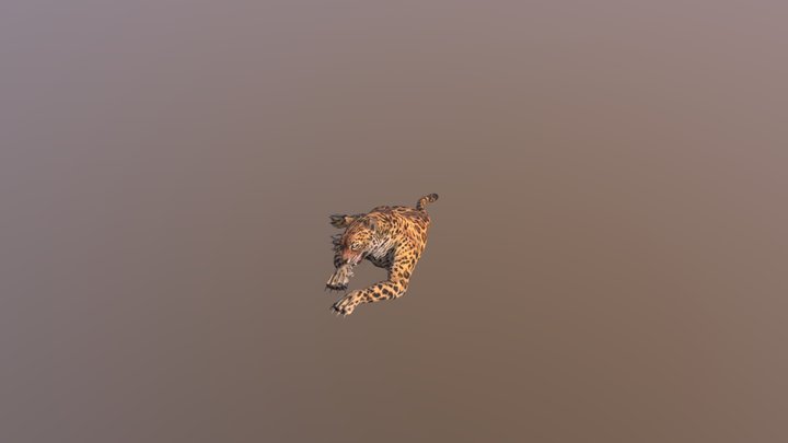 Leopard001-idle02 3D Model