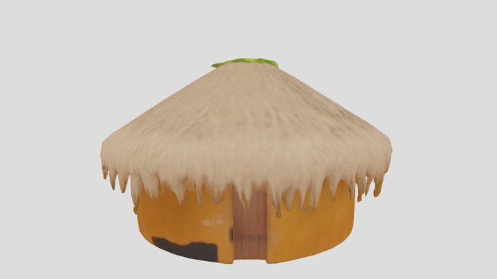 INDIAN 3D HOUSE