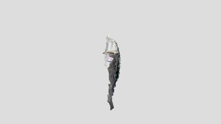 My great 3D reconstruction 3D Model