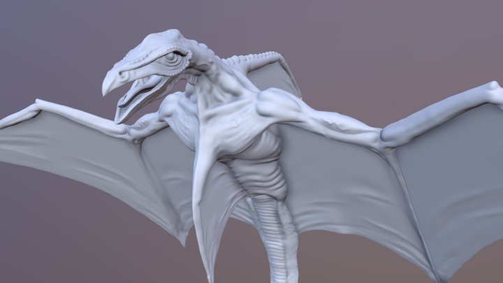 Cliff Racer 3D Model