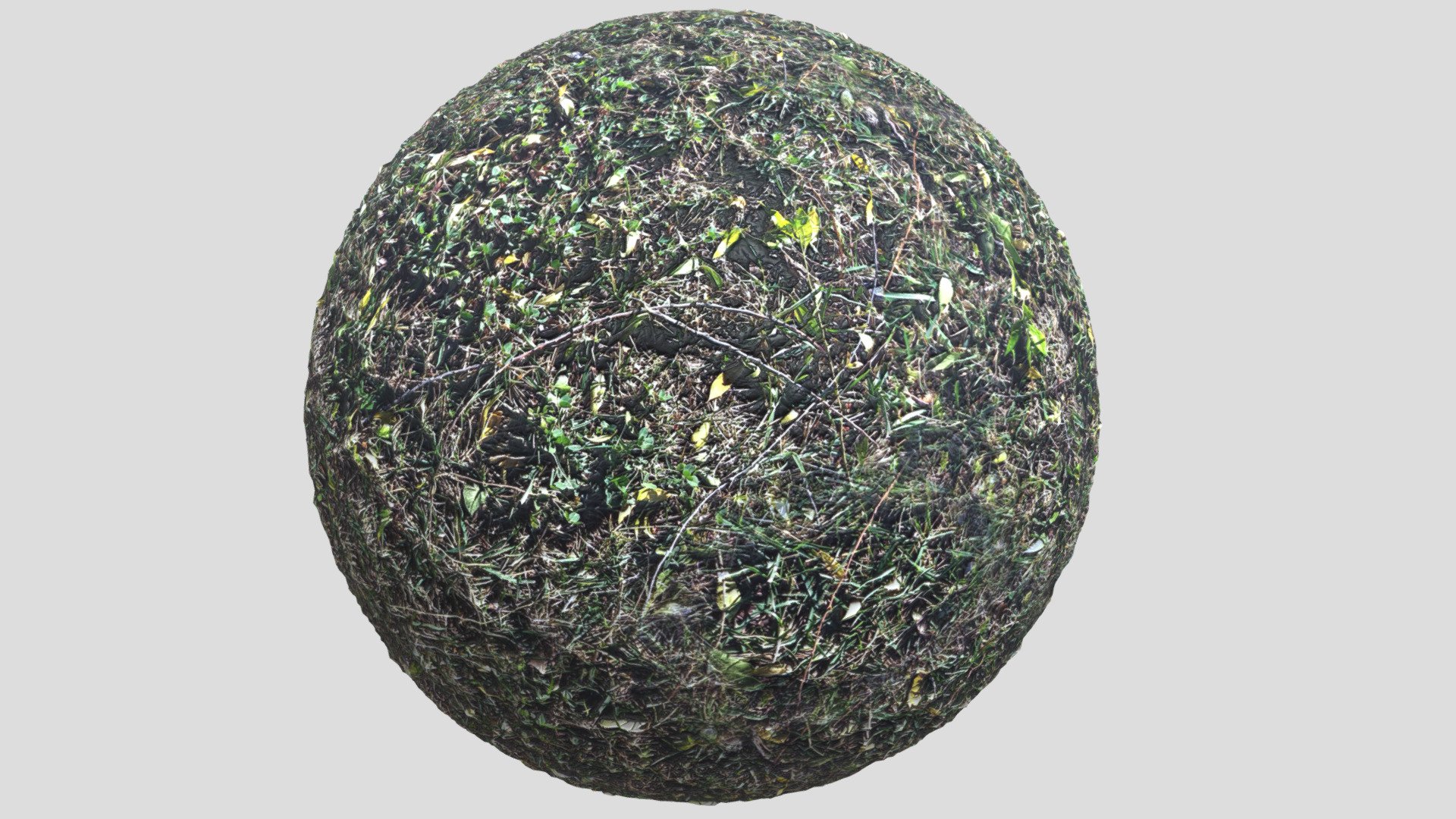 Grass01
