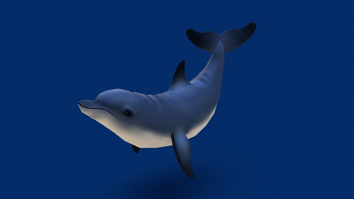 Low Poly Hand-Painted Dolphin 3D Model