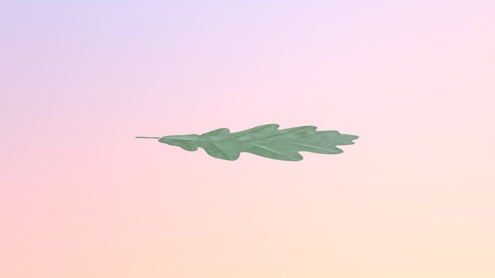 Leaf Test 3D Model