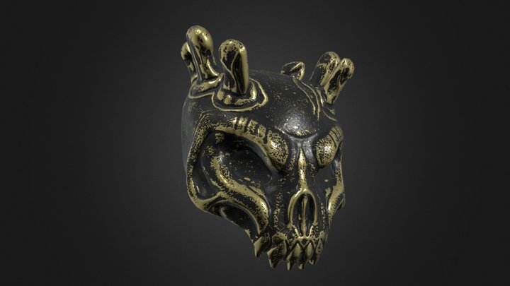 Scull 3D Model