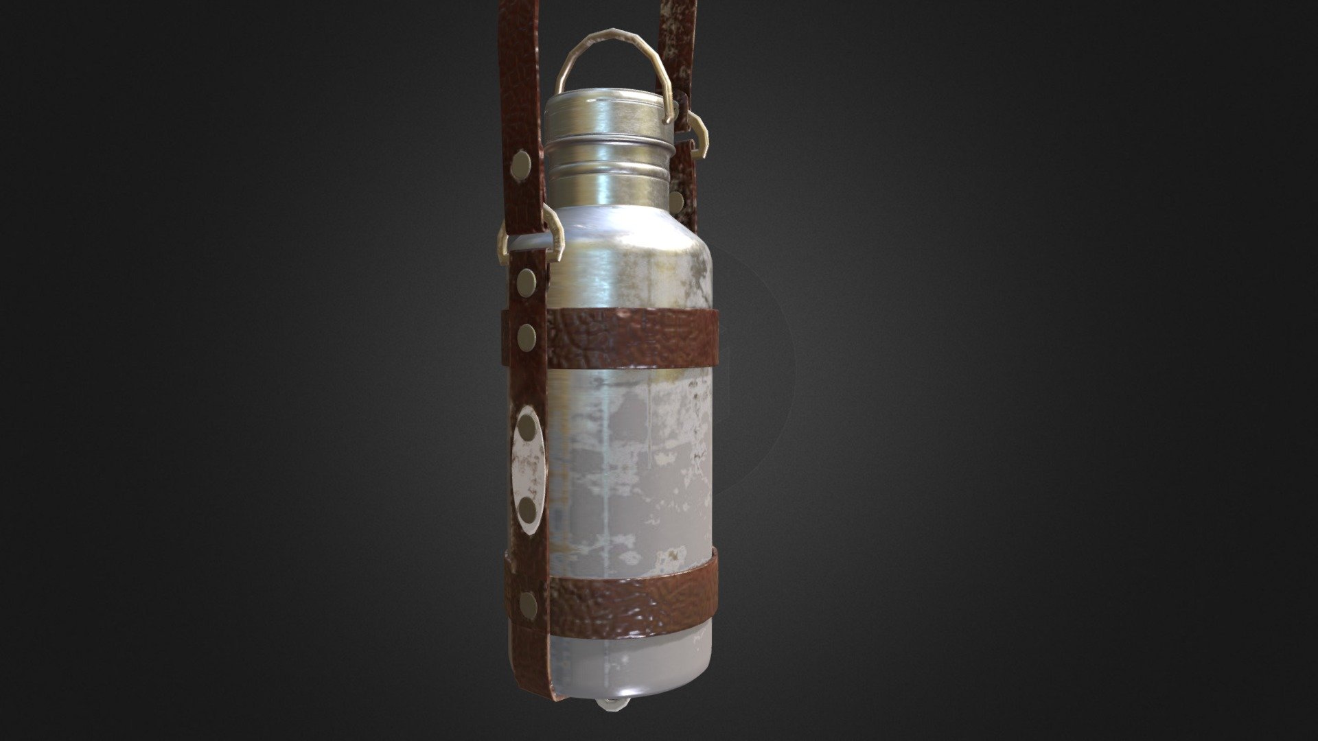 Aluminum Water Bottle with Leather Strap