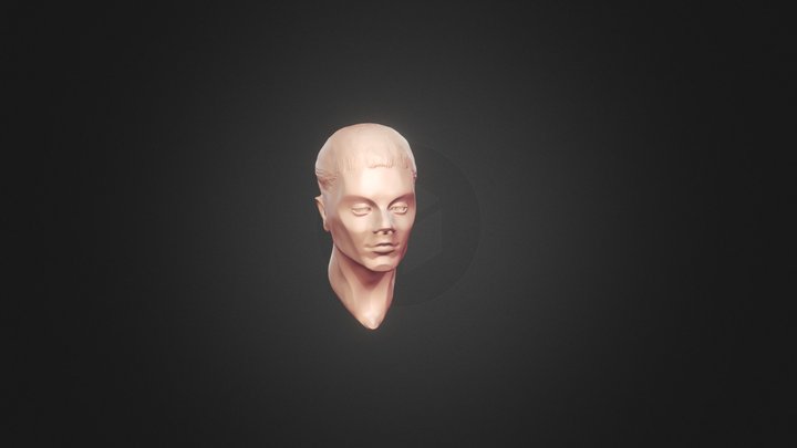 Head Men Ex3 3D Model