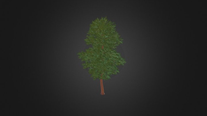 Scots Pine Tree (Pinus sylvestris) 9.7m 3D Model